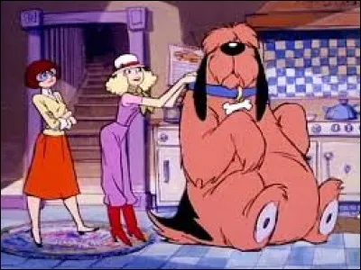 Quel est ce dessin animé ?