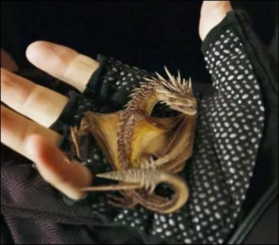 Le/la 4e &eacute;lu(e) du Tournoi a pioch&eacute; et quelle est la race du dragon dans laquelle il/elle a pioch&eacute; ?