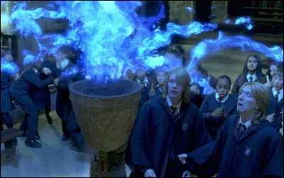 De quelle couleur est la barbe des jumeaux Weasley quand Dumbledore a mis autour de la Coupe de feu un sort pour emp&ecirc;cher les mineurs de tricher ?