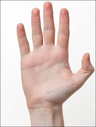 Quelle est l'origine du jeu de billard ?