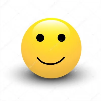 Pour toi, ta plus grande qualité est : 
(voir la question suivante)