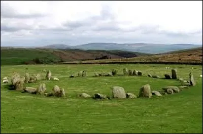 Que voyez-vous sur cette image ?