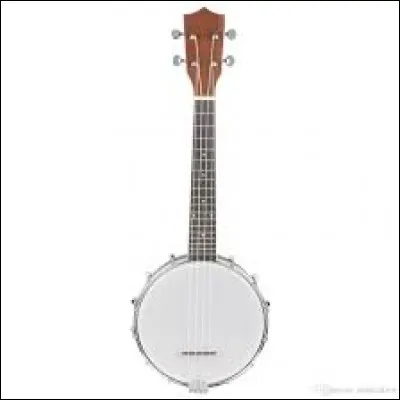 Quel est cet instrument de musique ?