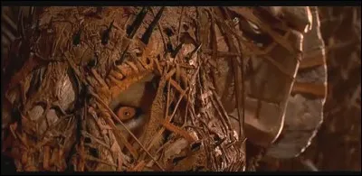 De quel film vient cette image ?