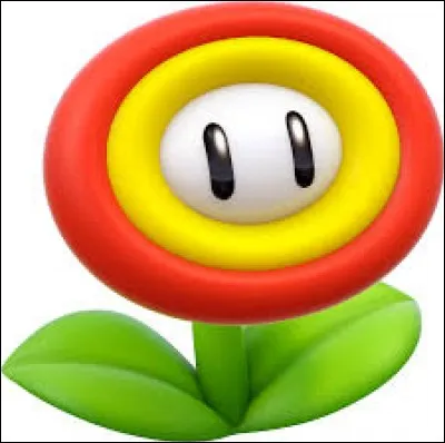Quel pouvoir cette fleur donne-t-elle à Mario ?