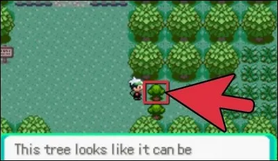 Quel est le nom de la capacité permettant de couper des buissons dans "Pokémon" ?