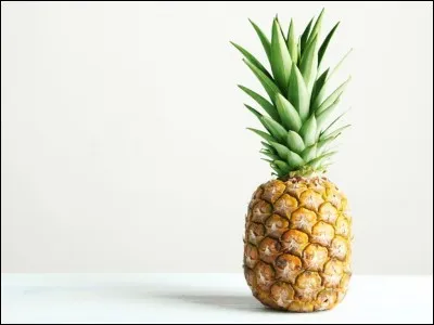 Une fille sans chichi, c'est la...