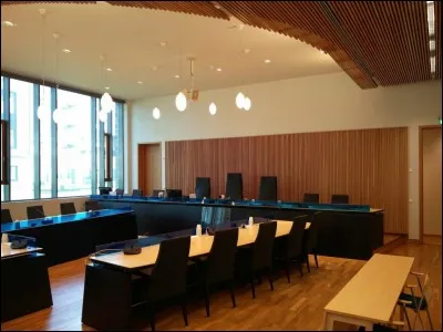 La Cour de justice :