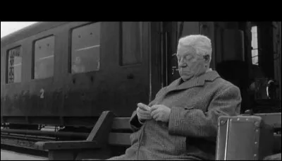 Qui donne la réplique à Jean Gabin dans le film "Un singe en hiver", sorti en 1962 ?