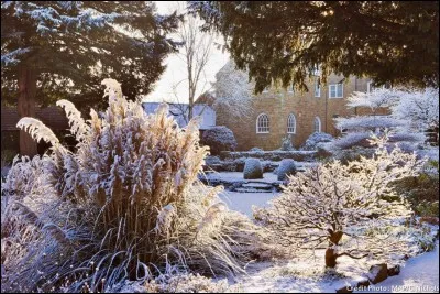 "Je voudrais du soleil vert / Des dentelles et des théières / Des photos de bord de mer / Dans mon jardin d'hiver...". Qui chante "Jardin d'hiver" en 2000 ?