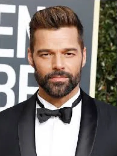 Où est né le chanteur Ricky Martin ?