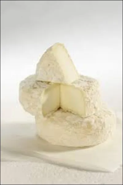 À partir du lait de quel animal fabrique-t-on le Picodon ?