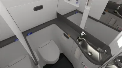 Dans plusieurs zones de l'appareil, nous disposons de toilettes. Mais où vont nos besoins lorsque nous sommes en vol ?