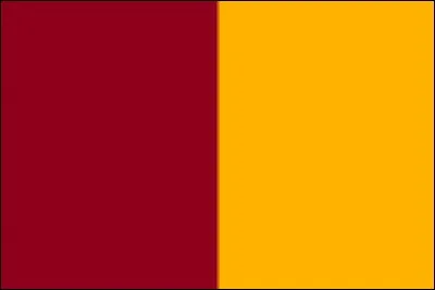 Quelle ville est symbolisée par ce drapeau ?