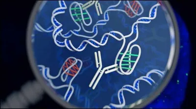 De combien de parties un nucléotide est-il composé ?