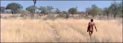 Une bouteille de coca-cola, jetée d'un avion, atterrit en plein milieu d'un village bushmen. Quel est ce film botswanais et sud-africain sorti en 1980 ?