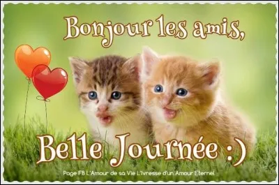 Dans ton groupe d'amis tu es plutôt...