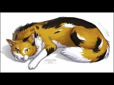 Poil de Châtaigne :