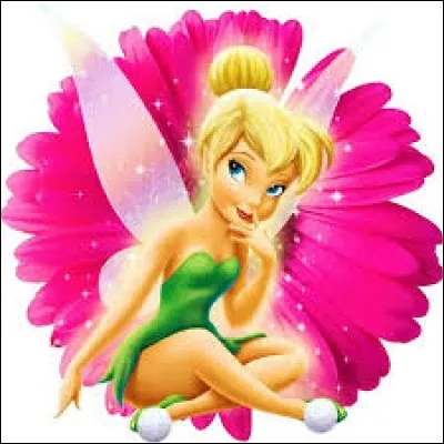 Lequel de ces adjectifs va le mieux à la Fée Clochette ?