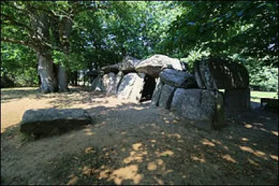 Dans quel département peut-on voir le dolmen la Roche-aux-Fées ?