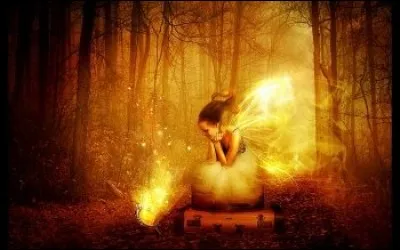 Groupement, union de plusieurs États.