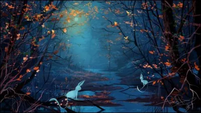 Quelle est ta couleur préférée ?