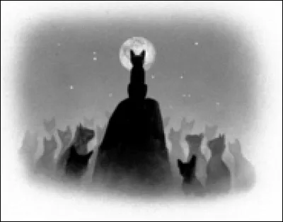 Tu as été nommé guerrier ! À une assemblée, tu rencontres une chatte d'un autre clan, très gentille, et tu te rends compte que tu es amoureux d'elle :