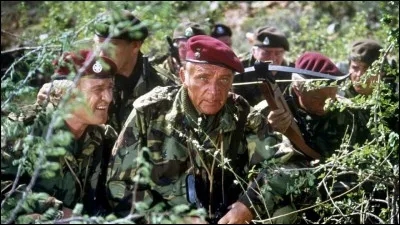 Allen Faulkner (Richard Burton), un mercenaire britannique, est embauch&eacute; par Sir Edward Matherson (Stewart Granger) pour aller en Afrique centrale (dans un pays fictif proche du Burundi) lib&eacute;rer Julius Limbani, un homme cens&eacute; pouvoir relever son pays. C'est ...