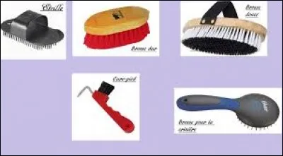 Quel est l'ordre de pansage ?