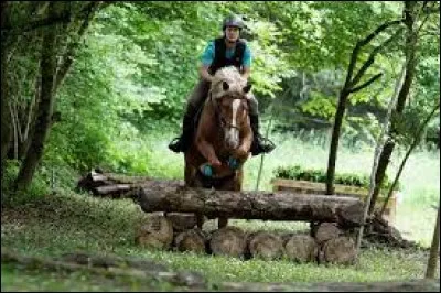L'&eacute;quitation est un sport !