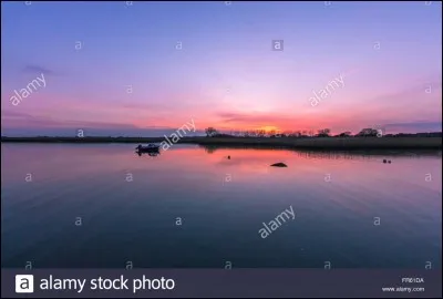 Quel mollusque porte le nom d'un ustensile de cuisine ?