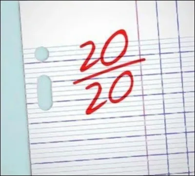 Tu dois faire un travail de groupe. Tu choisis...