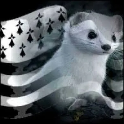 Complétez les paroles de ''La Découverte ou l'Ignorance'' du groupe Tri Yann avec le nom de la ville natale de ses membres où se trouve le château des ducs de Bretagne.

''Le breton est-il ma langue maternelle ?
Non ! Je suis né à ----------- où on n'le parle pas.''