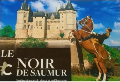 Quel est le nom de ce corps de cavaliers d'élite de l'École nationale d'équitation de Saumur ?