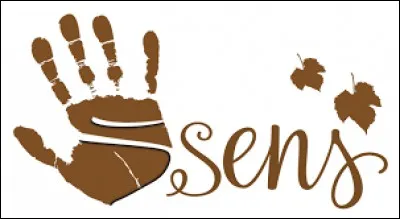 Si une personne est aveugle, sourde et muette, combien de sens lui reste-il ?