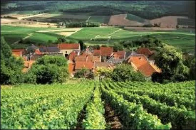 L'ancienne région Champagne-Ardenne fait partie de la nouvelle région appelée Hauts-de-France.