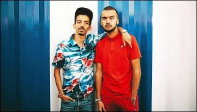 Les rappeurs Bigflo et Oli sont cousins.