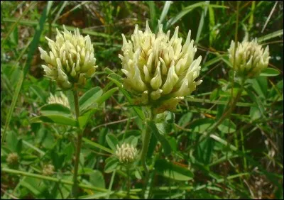 Dans quelle ville est décerné le prix littéraire international IMPAC ?