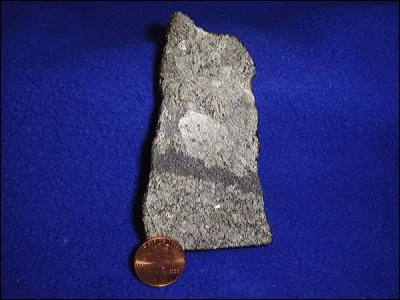 D'après la directive européenne n°93/98 de 1993, de combien est la durée de protection de toutes les &oelig;uvres artistiques après la mort de leur auteur ?