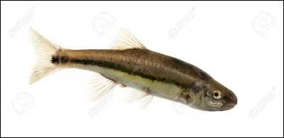 Dans quel département français trouve-t-on le plus de dolmens et allées couvertes ?