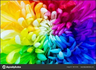 Ta couleur préférée est...