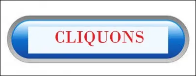 Qu'est-ce qu'un plagiste ?