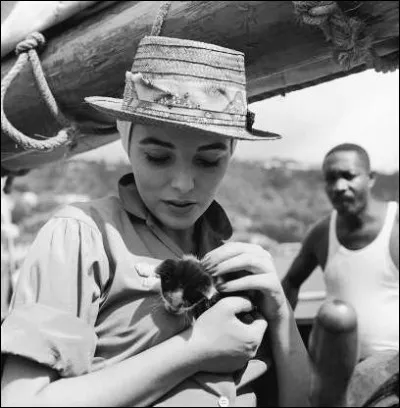 Cette célèbre actrice anglaise qui deviendra la star de "Dynastie" porte dans ses bras ce petit chaton ! (1957).
Indices : actrice née en 1945 - films notables : Absolutely Fabulous - American Horror Story - Le Grand Sommeil