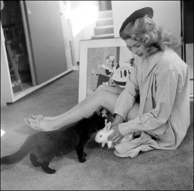 Cette pin-up adore ses boules de poils, un chat noir et un lapin blanc (1955).
Indices : actrice née en 1933 - films notables : La Blonde et moi - Un compte à régler - Petit guide pour mari volage