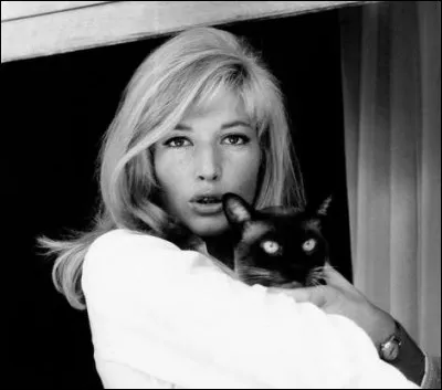 Cette actrice italienne s'octroie un moment câlin avec un chat siamois (1964).
Indices : actrice née en 1931 - films notables : Drame de la jalousie - L'Éclipse - La Raison d'État