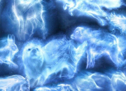 Test Quel est ton patronus dans Harry Potter ?