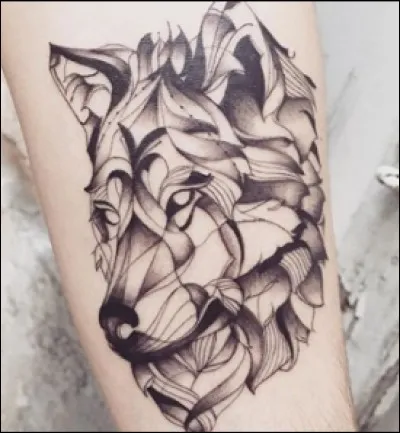 Peut-on tatouer un chat ?