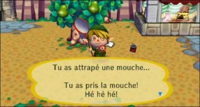 Quel insecte se trouve sous les rochers ?