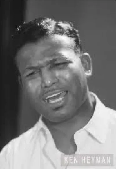 Dans quel sport se distingua l'Américain Walker Smith Jr. dit Sugar Ray Robinson (1921-1989)