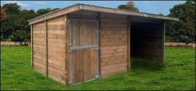 Combat de coqs, c'est la...